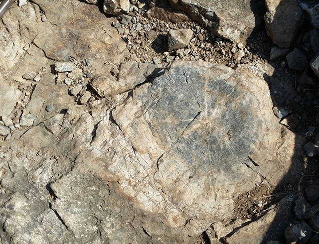 20160111_124049.jpg 첨부 이미지