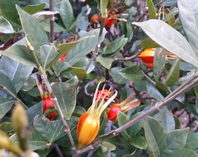 20160111_074042.jpg 첨부 이미지